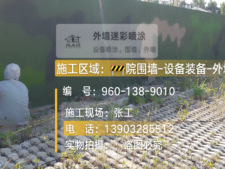 朝阳外墙迷彩漆材料价约 45-60 元 /k